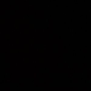 Meet your Posher, Hailey